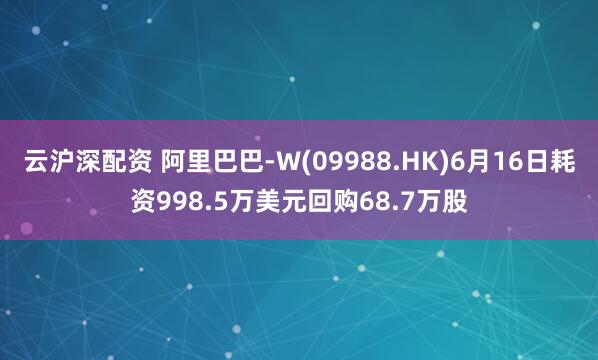 云沪深配资 阿里巴巴-W(09988.HK)6月16日耗资998.5万美元回购68.7万股