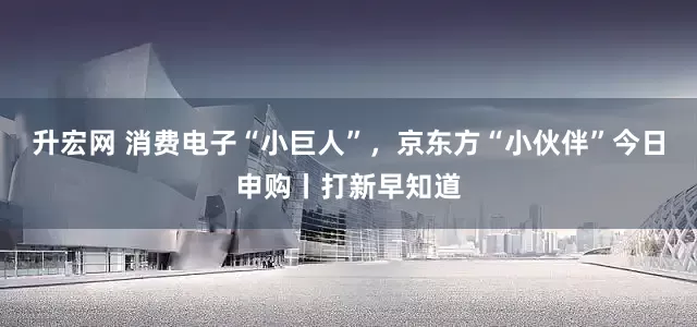 升宏网 消费电子“小巨人”，京东方“小伙伴”今日申购丨打新早知道