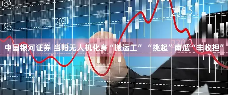 中国银河证券 当阳无人机化身“搬运工” “挑起”南瓜“丰收担”