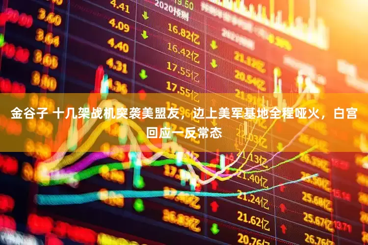 金谷子 十几架战机突袭美盟友，边上美军基地全程哑火，白宫回应一反常态